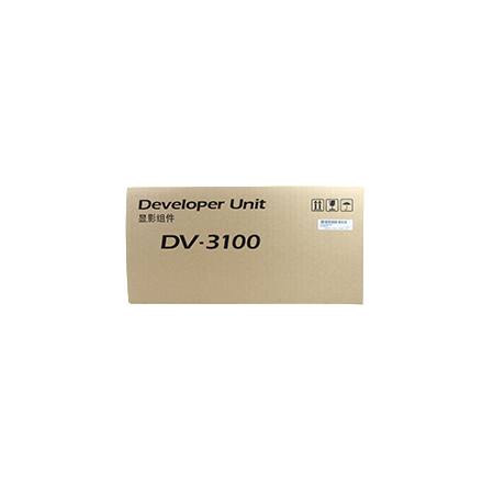 DV-3100