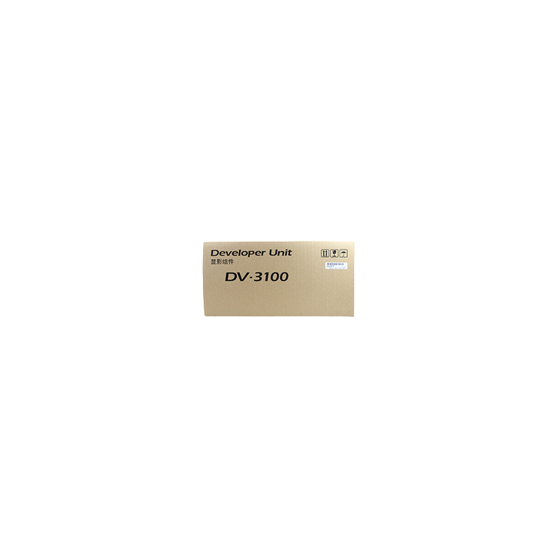 DV-3100